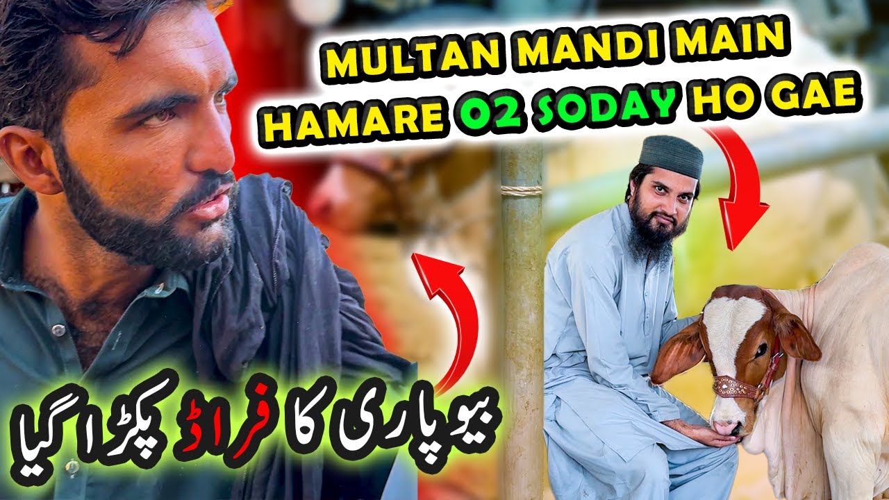 MULTAN COW MANDI RATES & BARGAINING BEFORE 02 DEALS | Cattle Market Karachi | Bakra Eid 2025