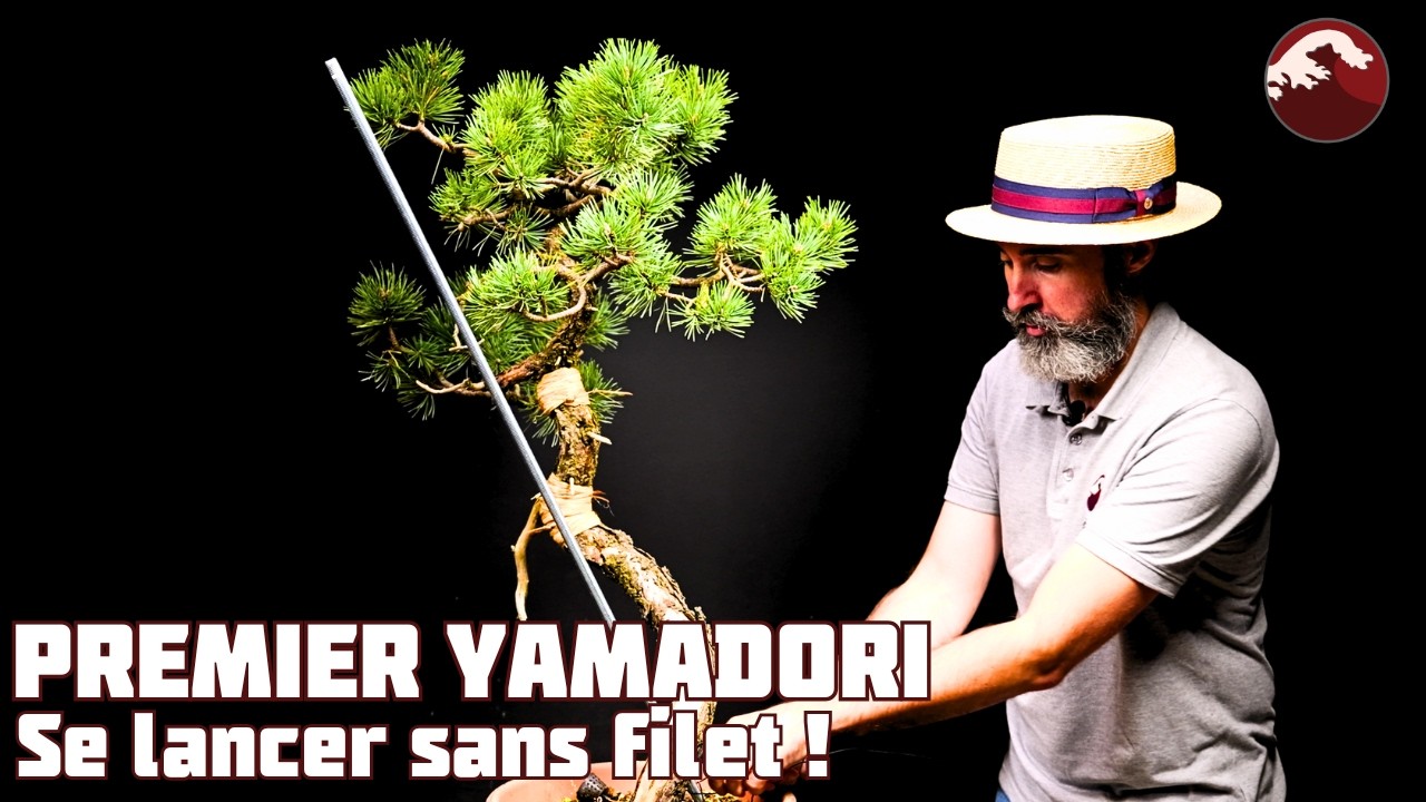 Débuter avec un premier Yamadori après 2 ans de formation 🌱 NEJIKAN BONSAI 🌱