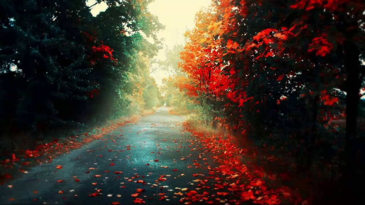 WILLY WILLIAM - Ego (SpeedUp)