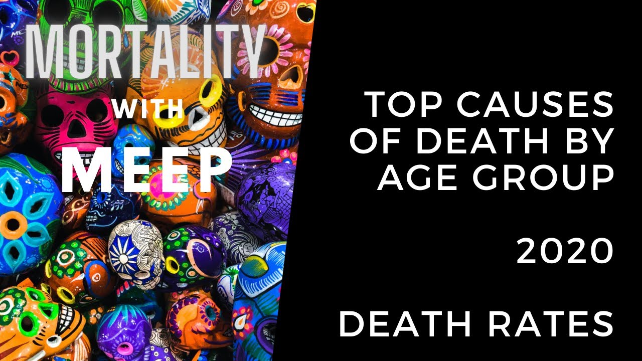 Top Causes of Death by Age Group 2020 Death Rates