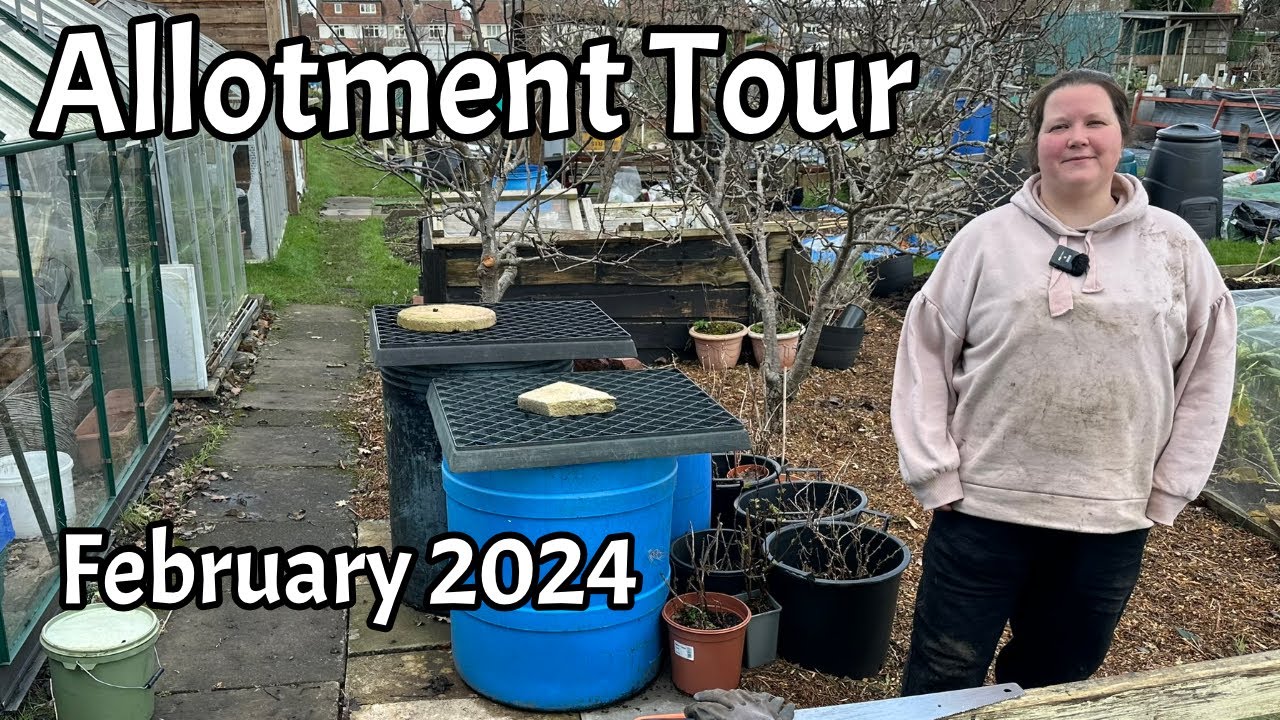 Allotment Tour - February 2024 - a new season!