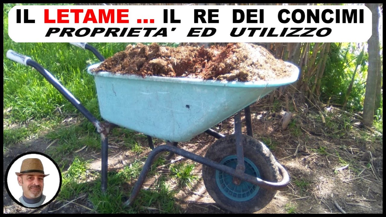 CONCIMARE CON IL LETAME, il re dei fertilizzanti