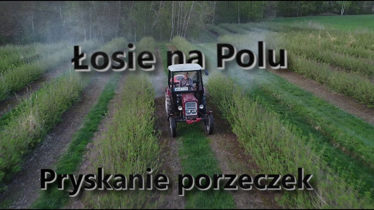 Opryski Porzeczek z Lotu Ptaka 😱 Łosie na Polu 😱 U-R-S-U-S C330 & STEINER