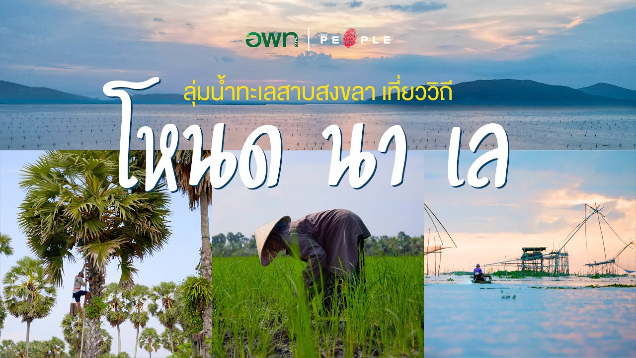 พื้นที่พิเศษลุ่มน้ำทะเลสาบสงขลา สู่การเป็นแหล่งท่องเที่ยวอย่างยั่งยืน จากวิถี โหนด นา เล