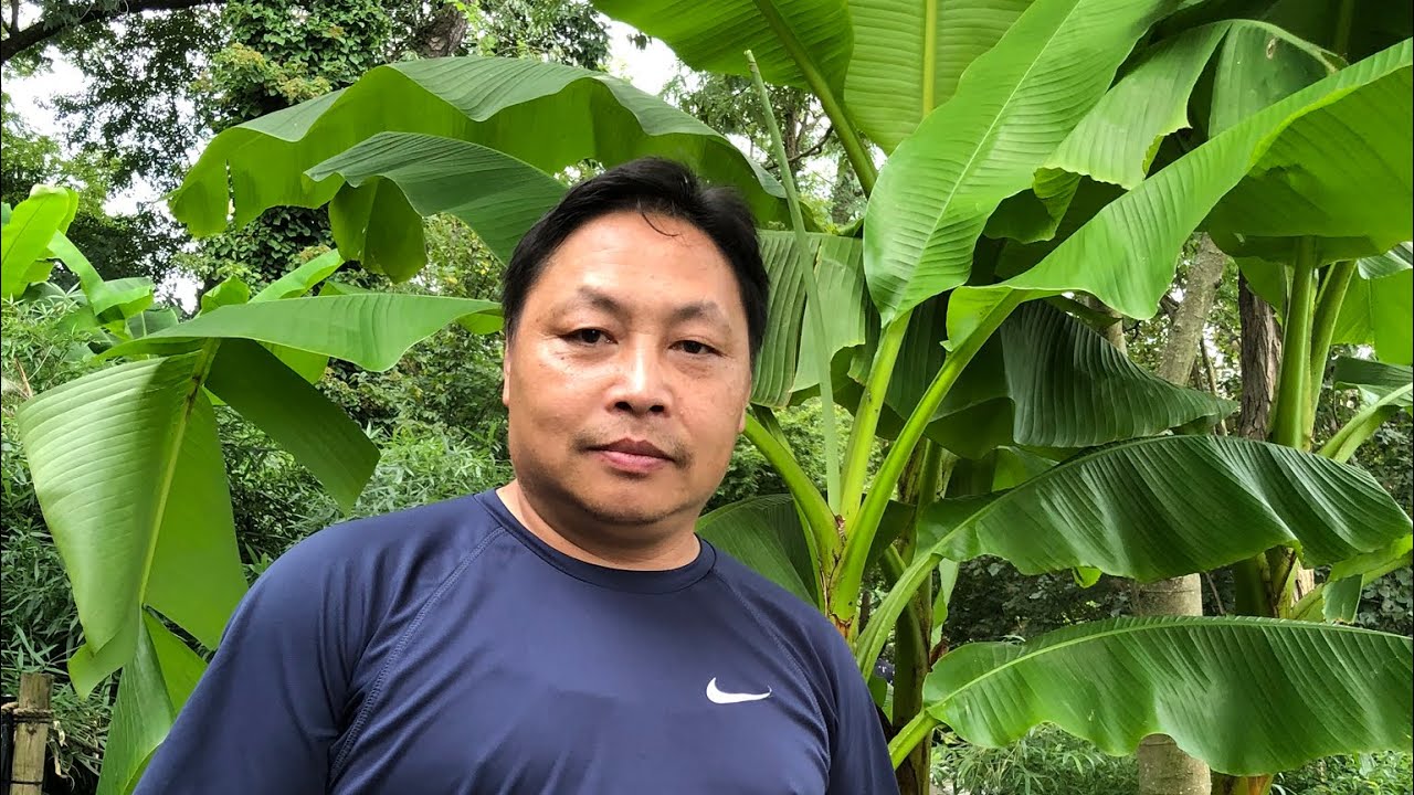 Fresh and organic orange  in California ￼