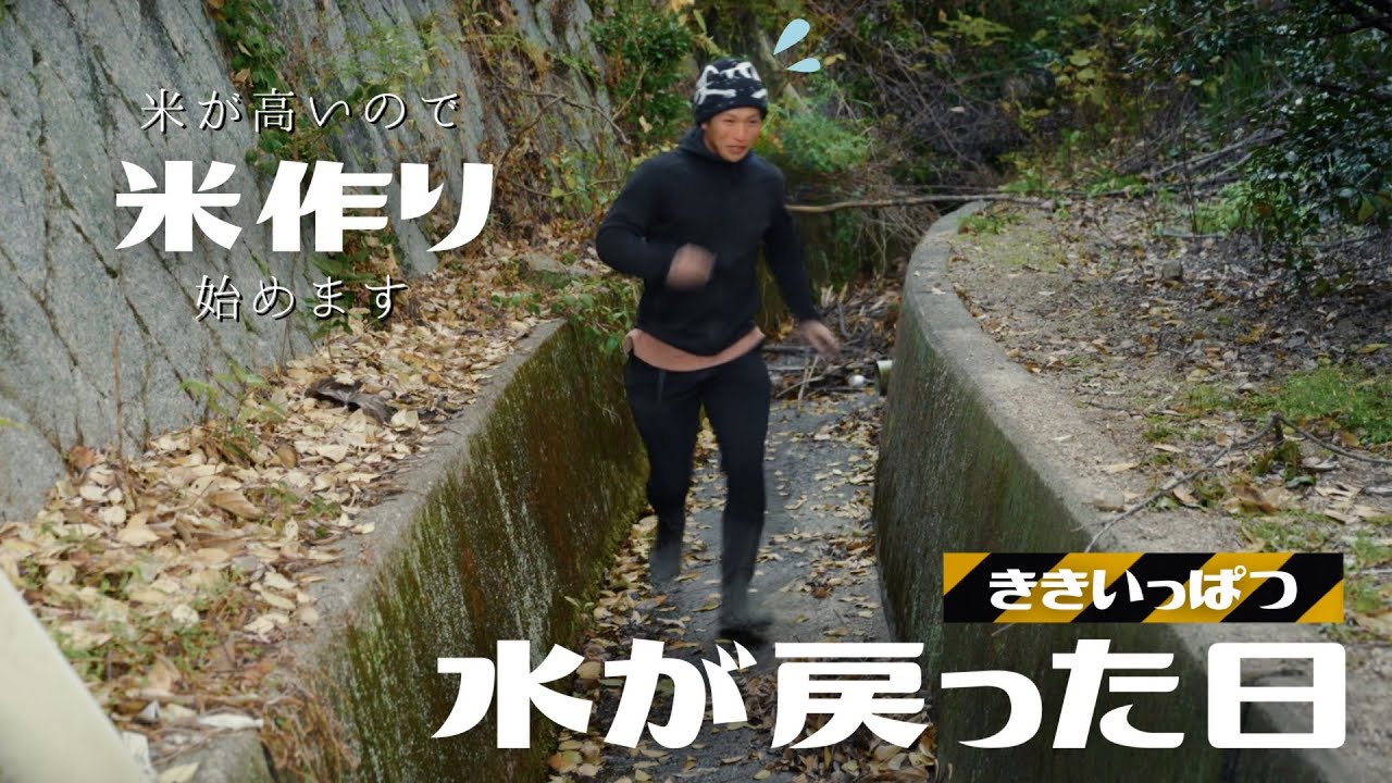 【危機一髪】#43 米が高いので