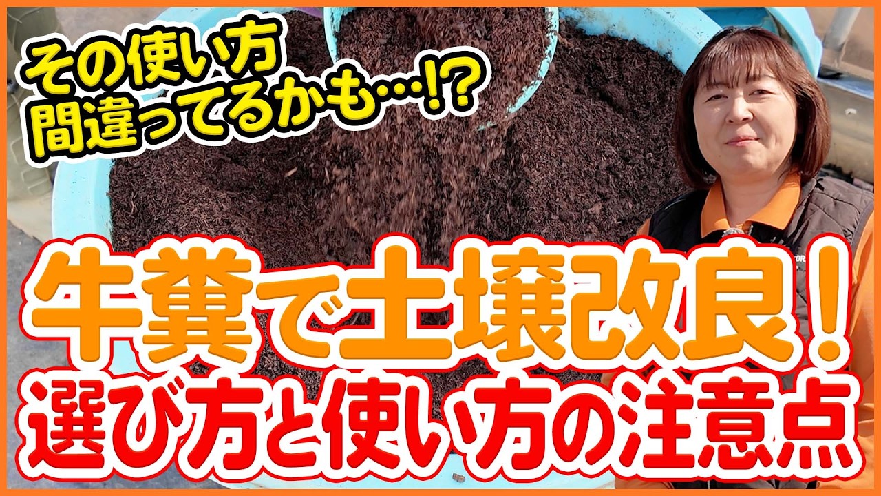 【土壌改良】その使い方合ってる？牛糞の選び方と正しい使い方！【シェア畑】【農園ライフ】