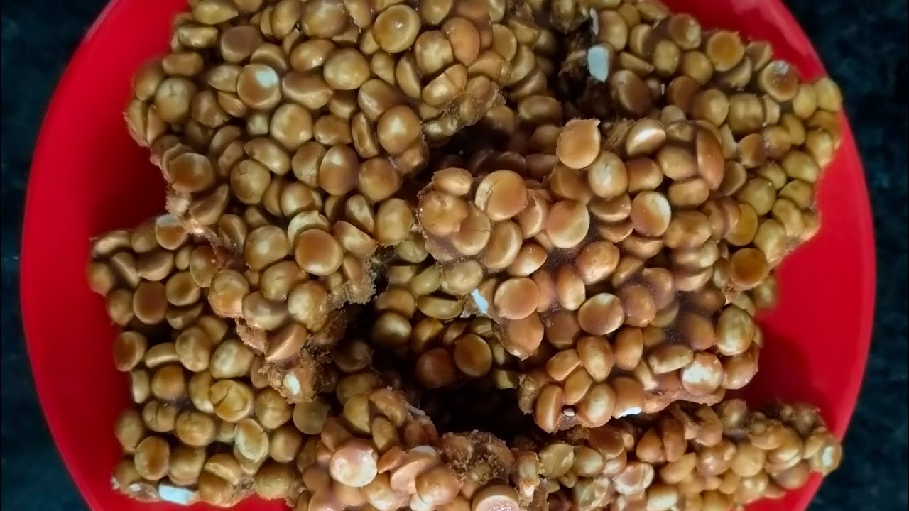 मकर संक्रांति पर चना दाल की चिक्की बनाएं /Aahar Zindagi #food #recipes