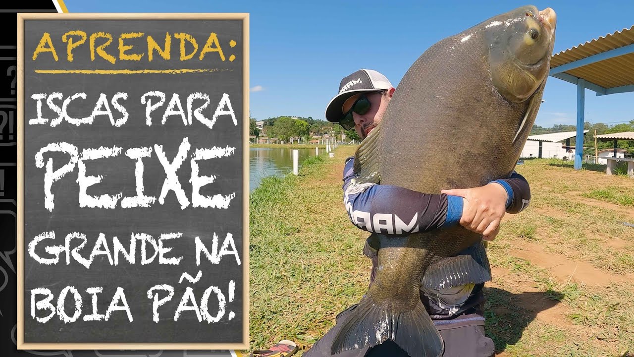 ISCAS PARA PEIXE GRANDE NA BOIA P&Atilde;O (APRENDA)