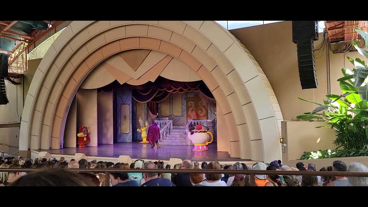 Disney show at Disney World! ✨🏰 #Disney #Show #World