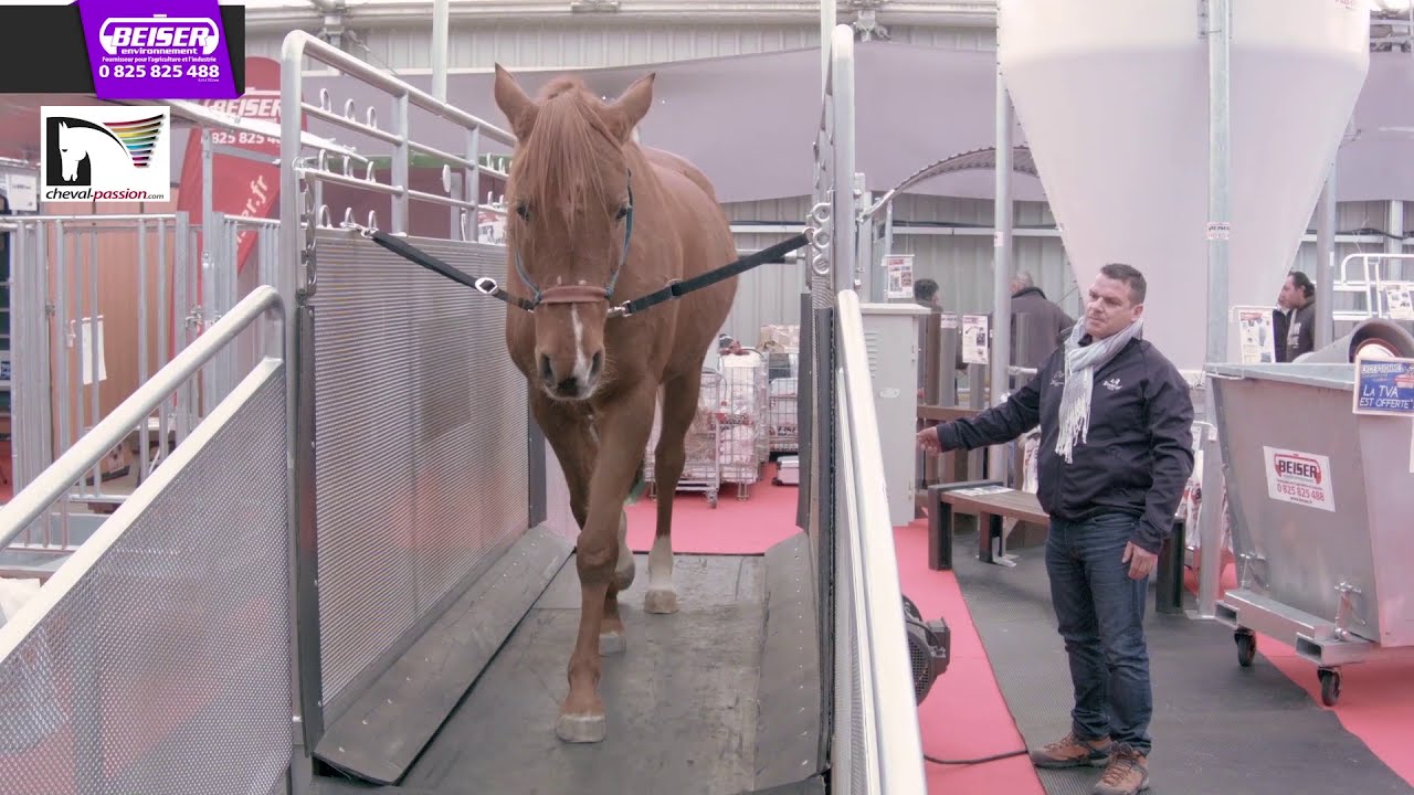 Salon Cheval Passion à Avignon🐴 | BEISER ENVIRONNEMENT