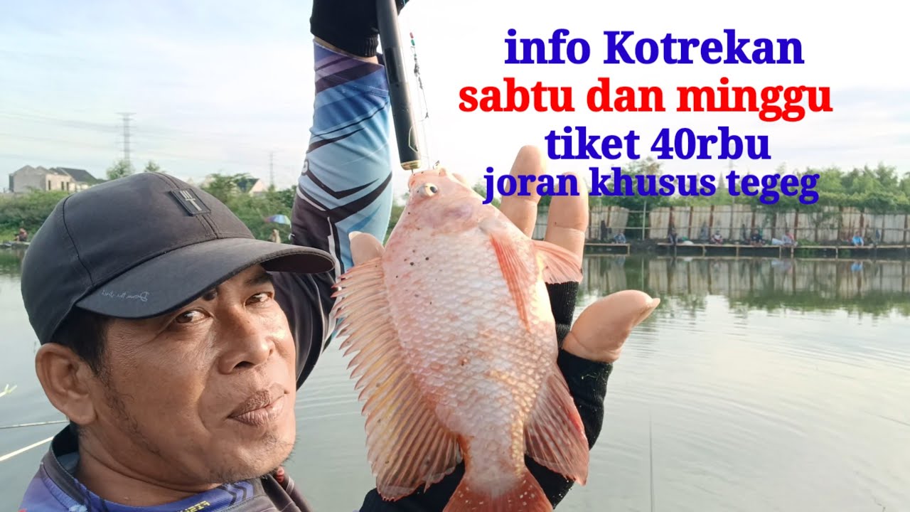 INFO KOTREKAN ‼️ SABTU DA MINGGU Tiket 40rbu Empang Bang JEK BKT