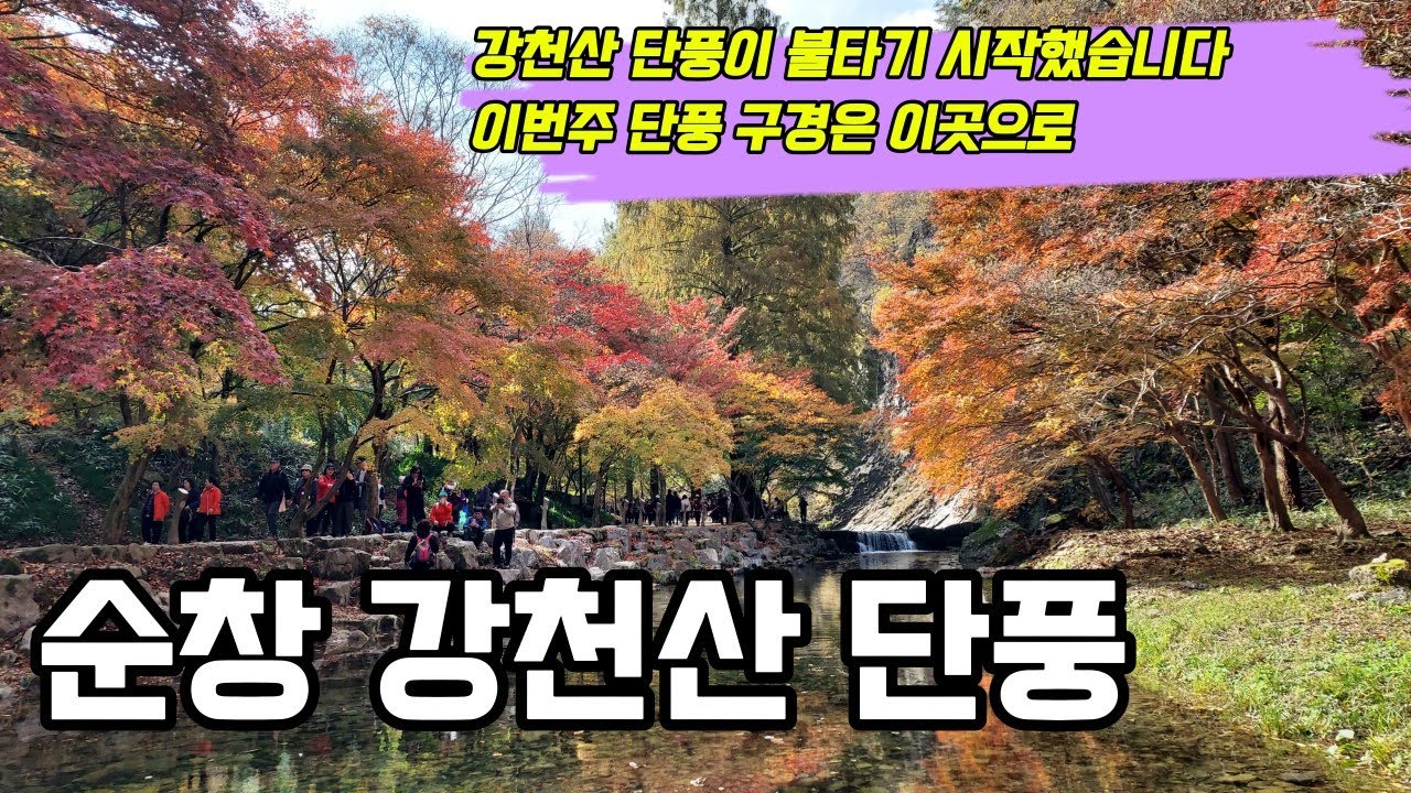 순창 강천산 단풍 싱싱하고 좋습니다 구장군폭포 여기까지는 가보세요 화려한 단풍을 볼 수 있습니다 2025-11-09