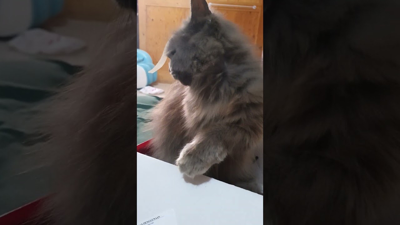 tape on head, hand on air