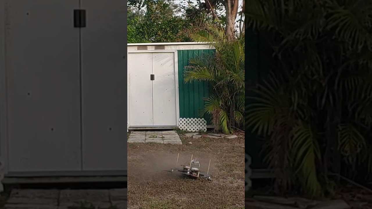 The 2025 Ball Drop When You Live In Florida #drone #2024newyear #balldrop #meanwhileinflorida