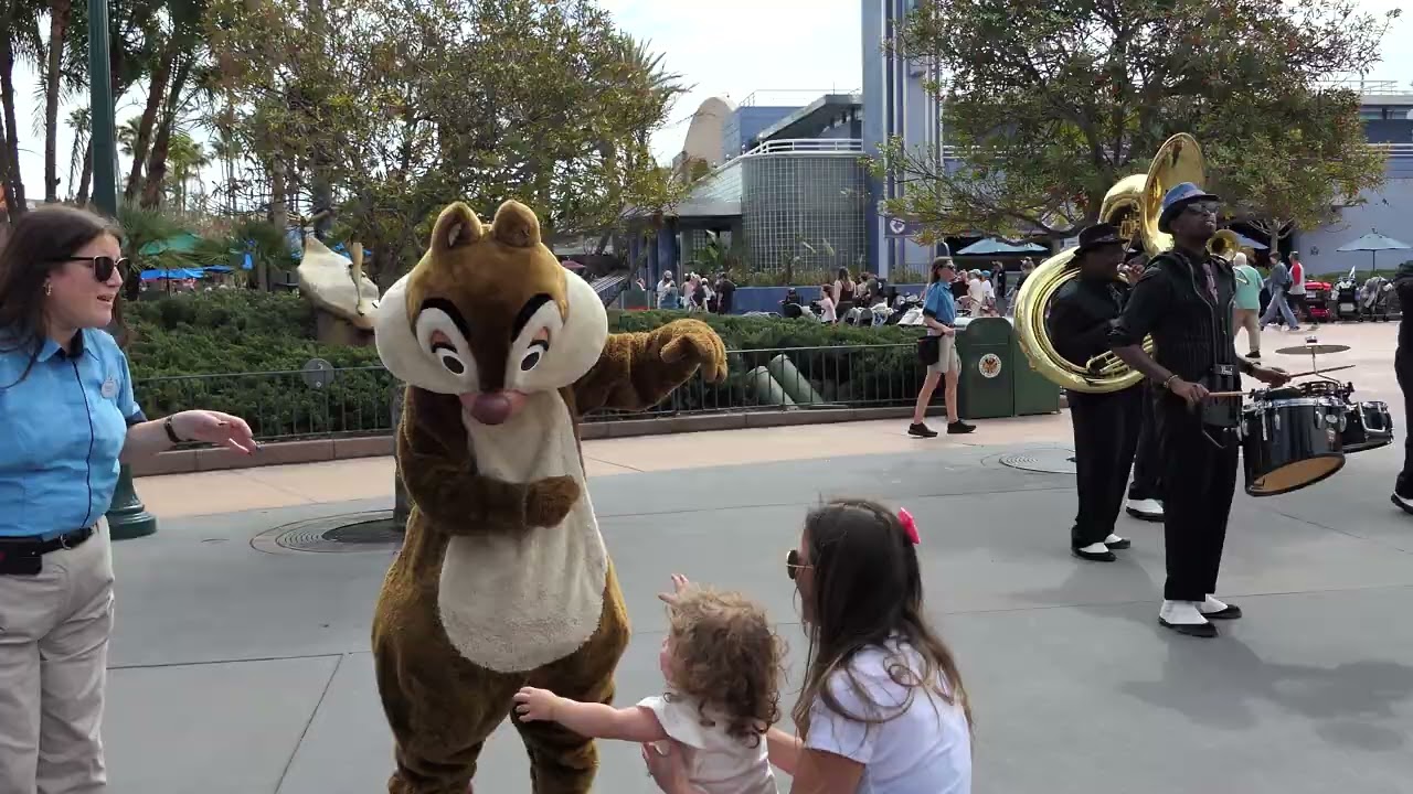 Music with Chip and Dale