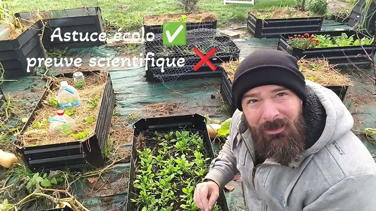 Les astuces de grand-mère, ça marche… ou pas dans mon potager en bac?