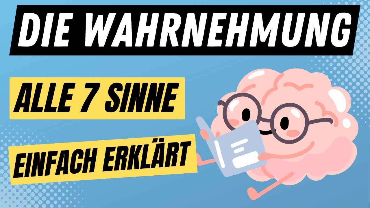 SINNESWAHRNEHMUNG - Die 7 Wahrnehmungsbereiche kinästhetisch, olfaktorisch & mehr | ERZIEHERKANAL