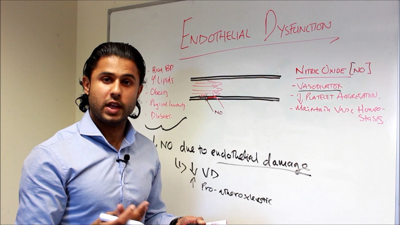 Part II - Nitric Oxide and Shear Stress