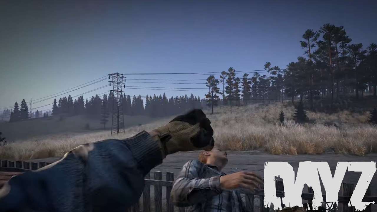 Cy Plays DayZ (Part 2)