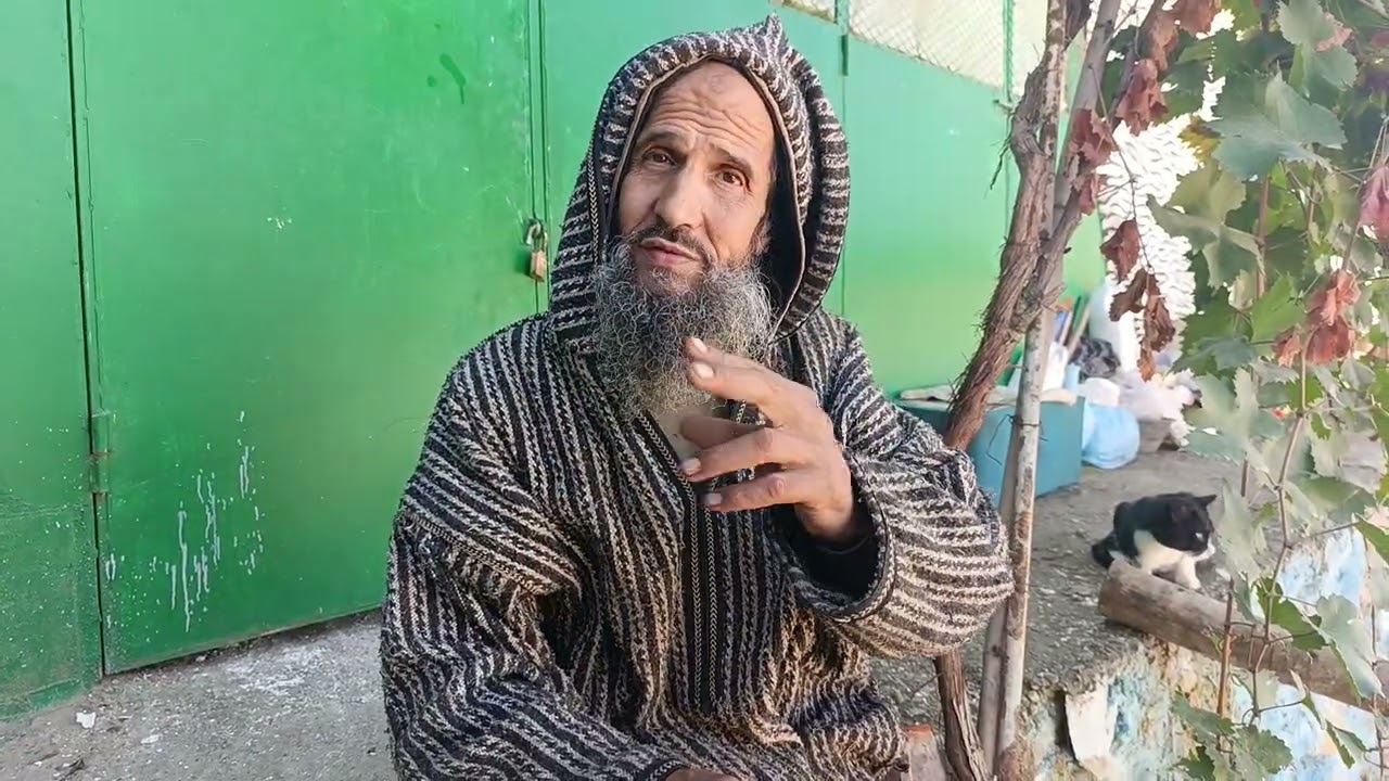 علاء الدين يتكلم عن جيل Z.. الجيل الذي لا يشبه الأجيال السابقة شباب يصنعون مستقبلهم بطريقتهم الخاصة.