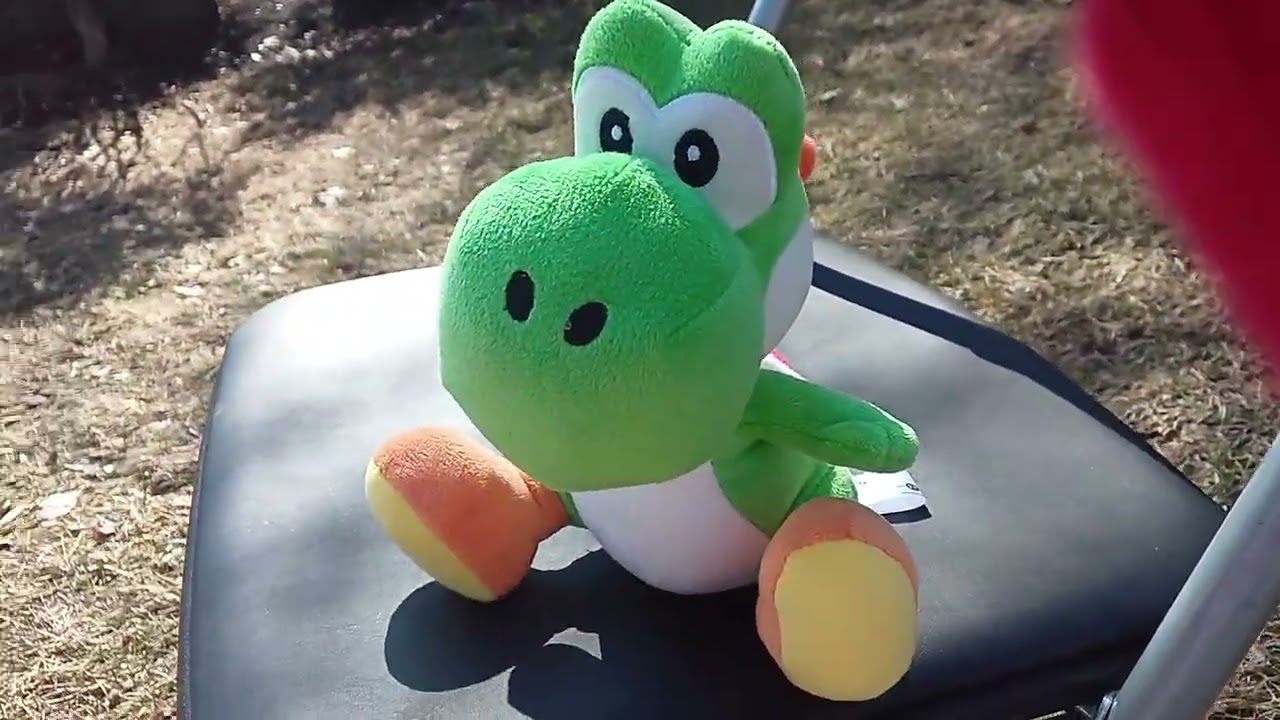 Yoshi's beach ball tantrum 