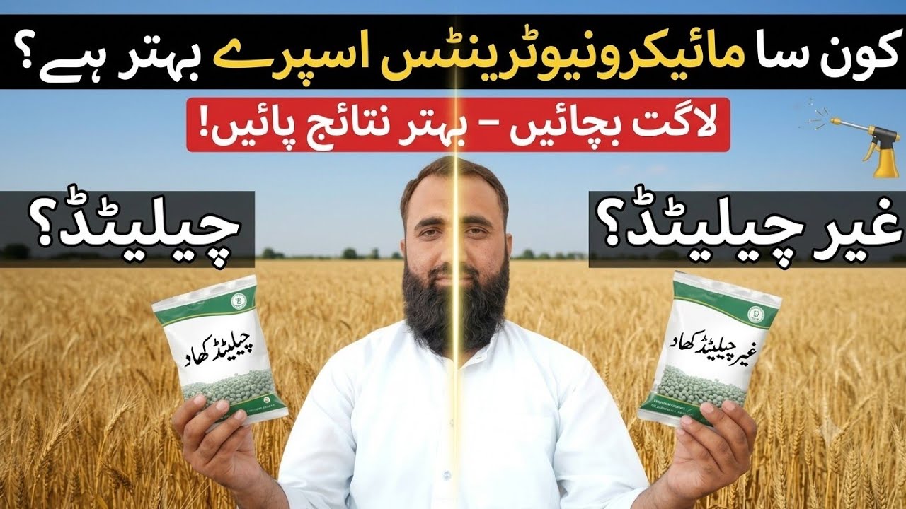 Chelated vs Non-Chelated Micronutrients Spray | Bilal Kanju Official 
