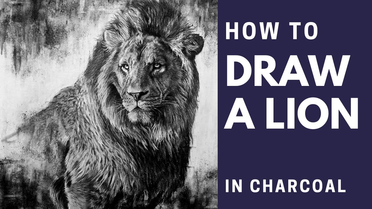How to Draw a Lion | Charcoal Drawing Tips