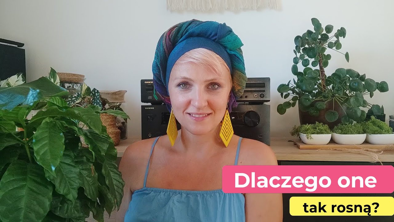 Dlaczego one tak rosną? | Co robię z moimi roślinami? | Moje sposoby na duże kwiaty || PIPILOTKA