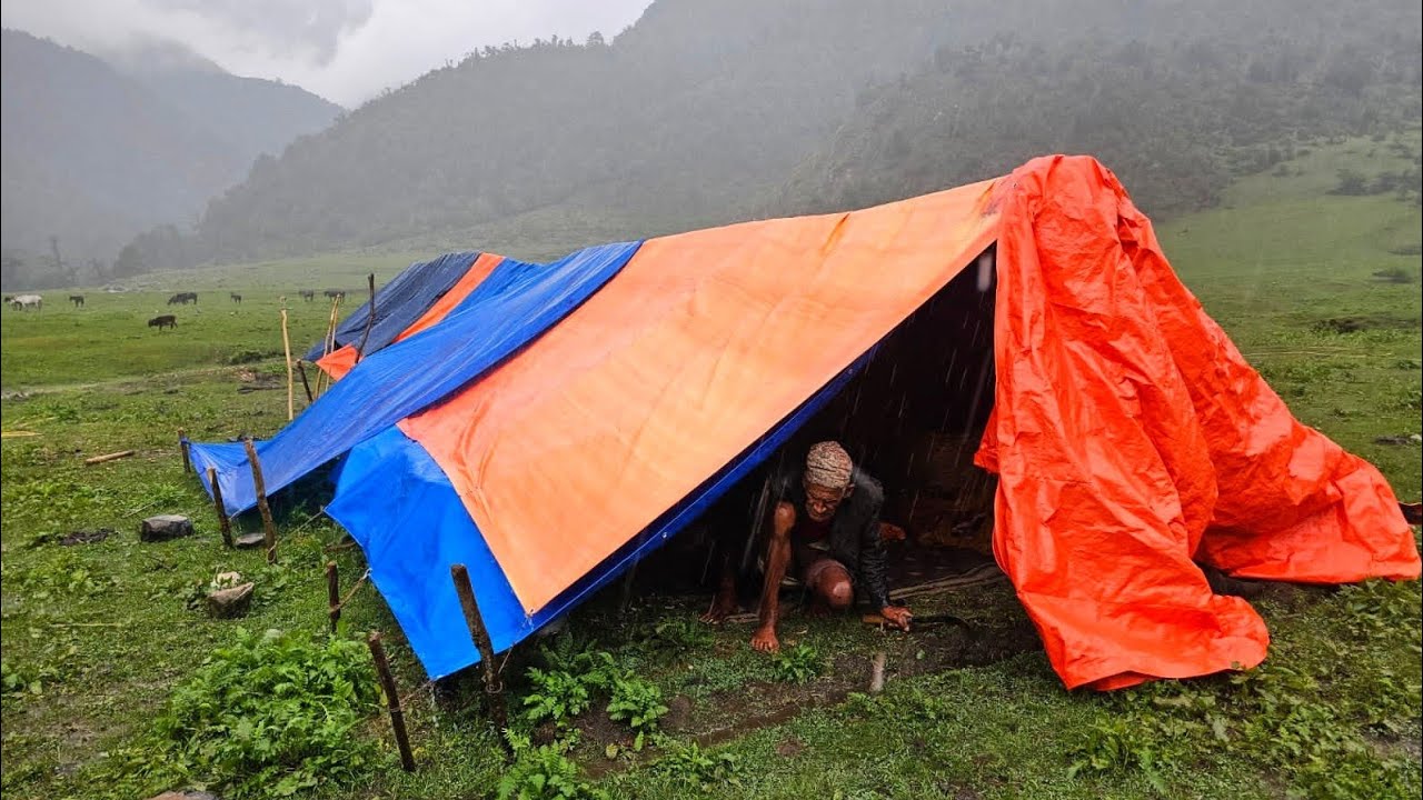 Nepali Mountain Village Life | Shepherd Life | Rainy Day | Organic Shepherd Food | Real Nepali Life