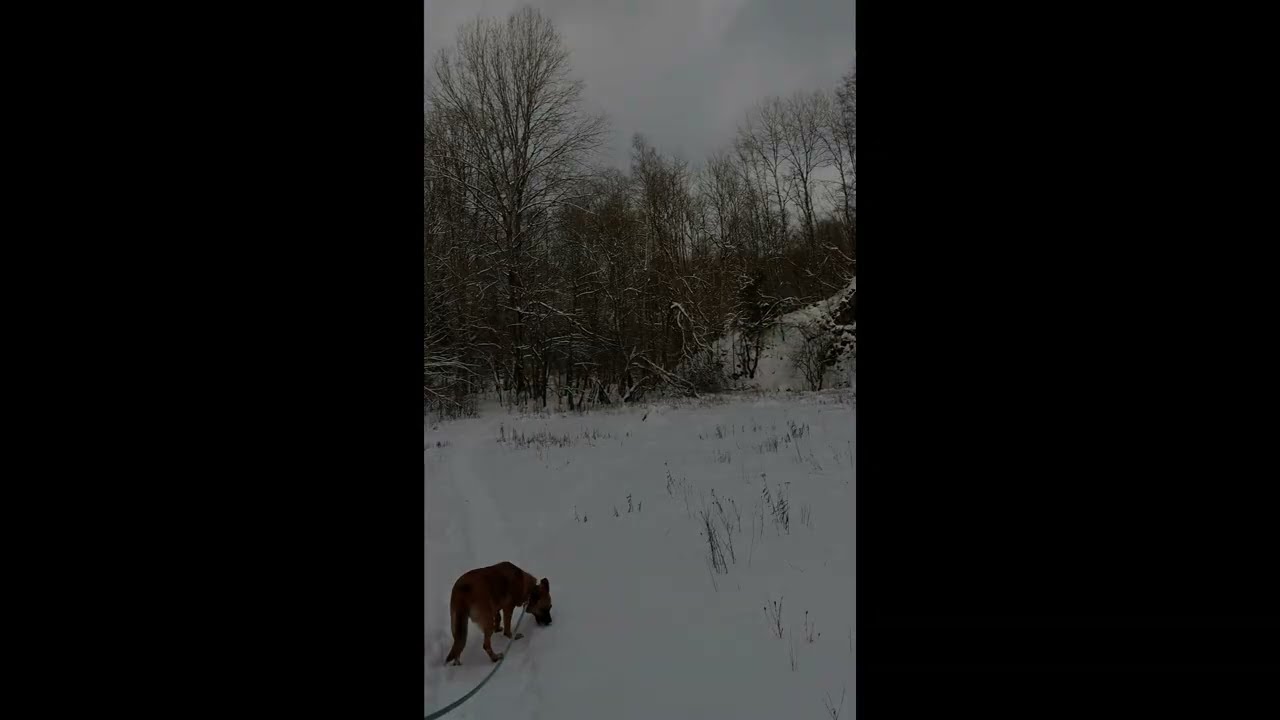 Besuch der Bacher Lay am 04.01.26 #short
