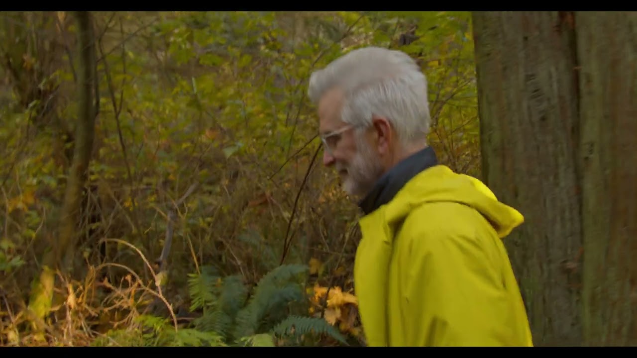 Ross Penhall: The Artist's Life