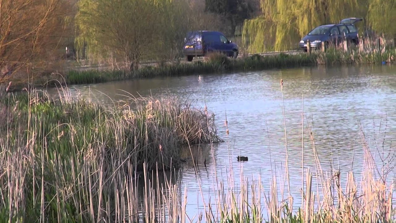 MONK LAKES, MARDEN, KENT, ANGLERS MAIL TACTICAL BRIEFINGS