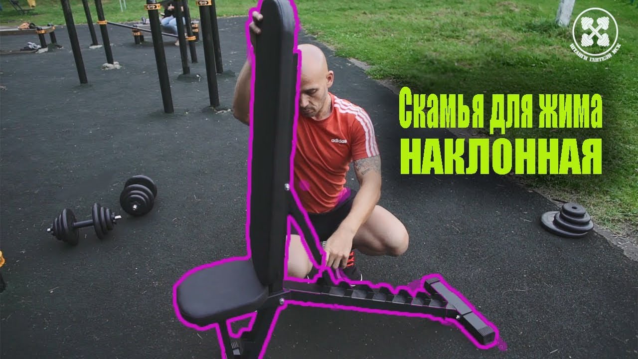 Скамья для жима наклонная. Хотите купить скамью? Посмотрите обзор