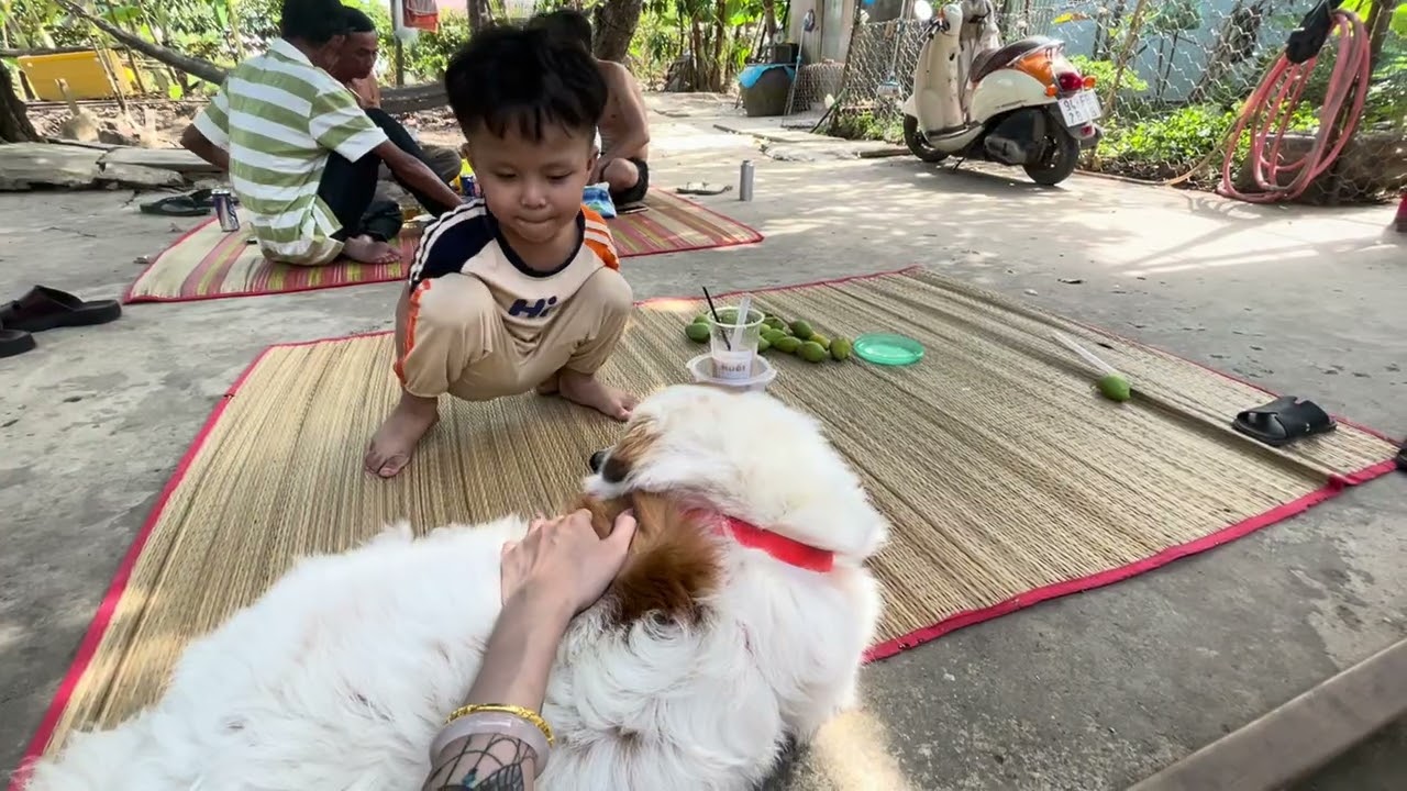Buổi Chiều Yên Bình Ở Quê 21-02-2026