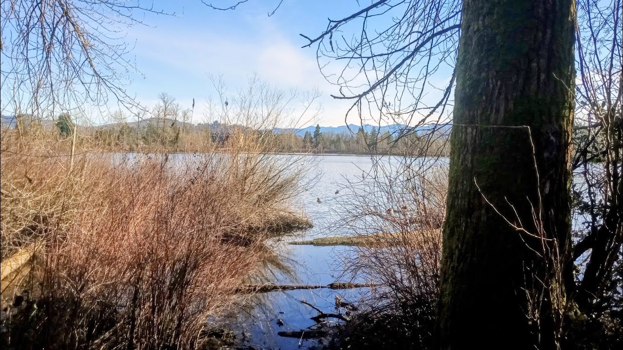 Canadian Radio Sanctuary: Mill Lake Park, Abbotsford, BC - Slideshow Tour -Part 1- January 2026.