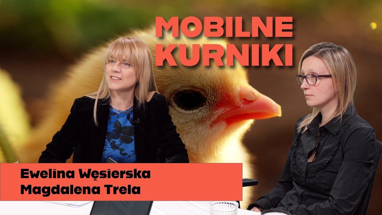 Jak dobrostan kur wpływa na jakość żywności i ekosystemu?