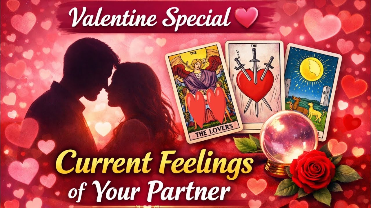 Valentine Special ❤CURRENT FEELINGS OF YOUR PARTNER ❤#valentine #valetinesday 