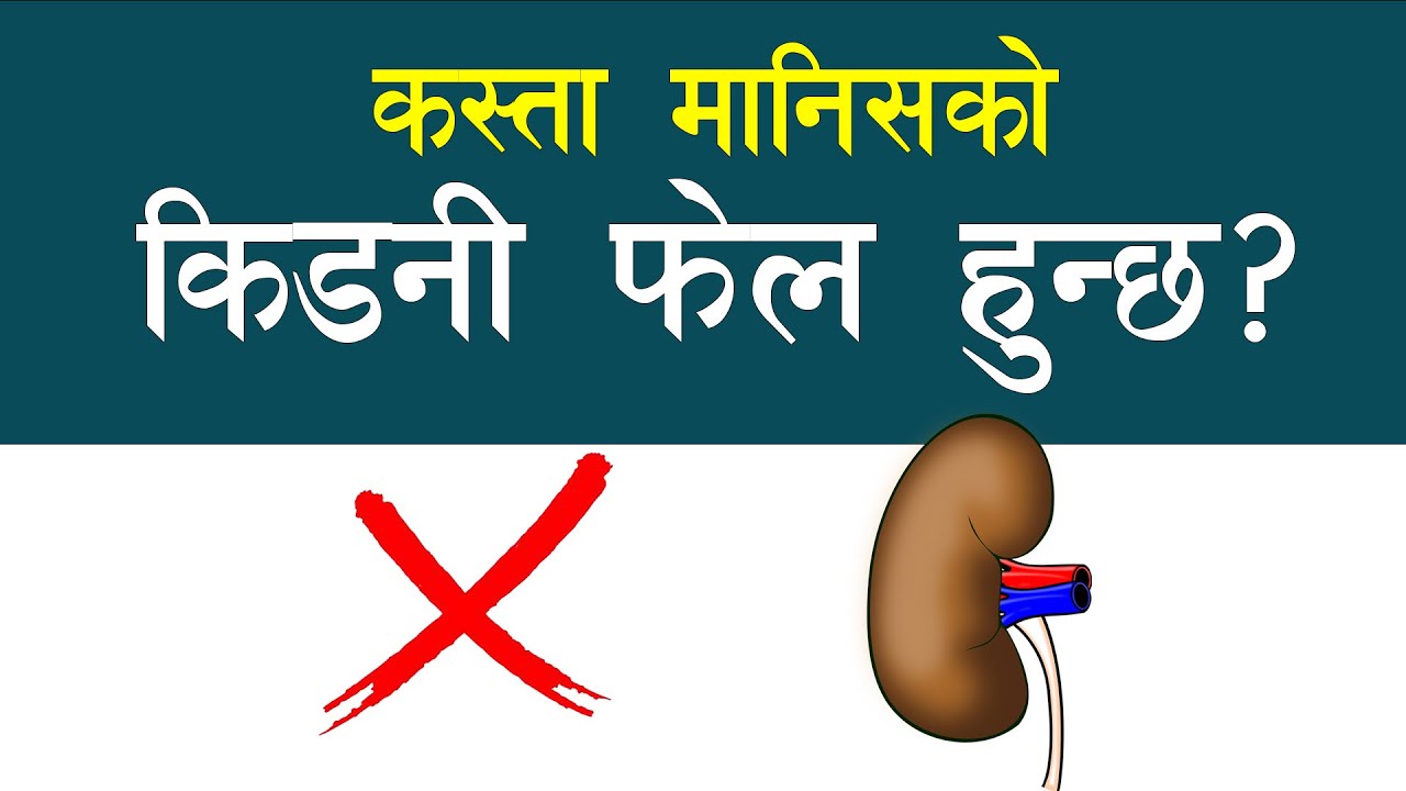 मिर्गौला बिग्रने यस्ता पनि कारण हुन्छन्... Dr. Anil Pokharel || NIKO NEPAL Kidney Diseases
