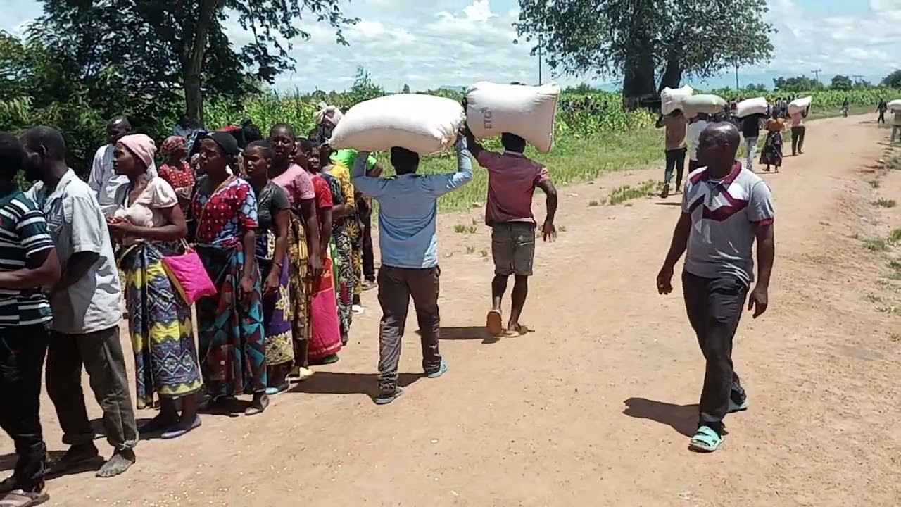 10 Carrying Maize Away