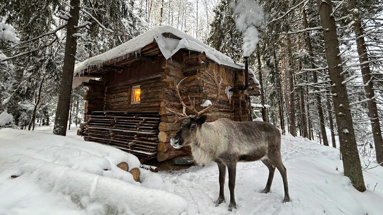 Winter Wonderland: 48 Hours Survival in My Log Cabin | Alone in the Wilderness
