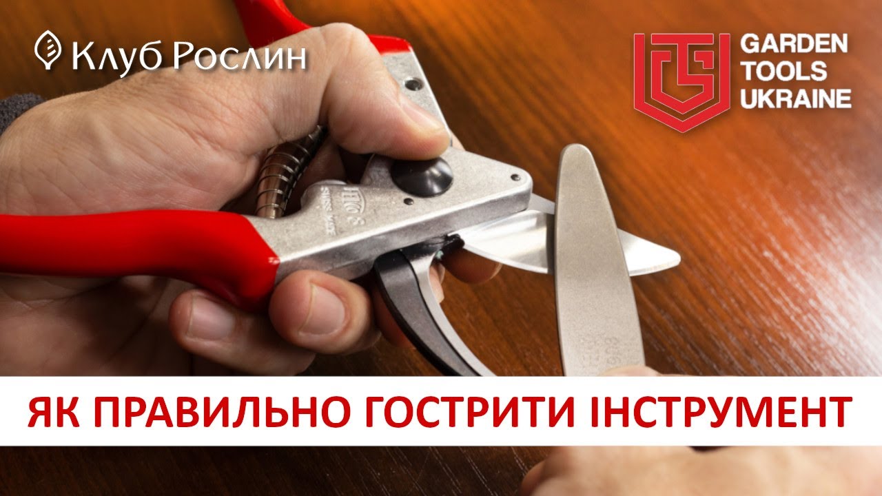КАК ЗАТОЧИТЬ СЕКАТОР - правила ухода за садовым инструментом