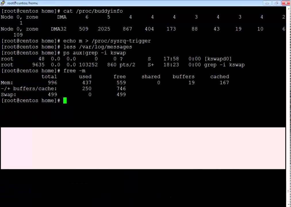 Linux Memory Management
