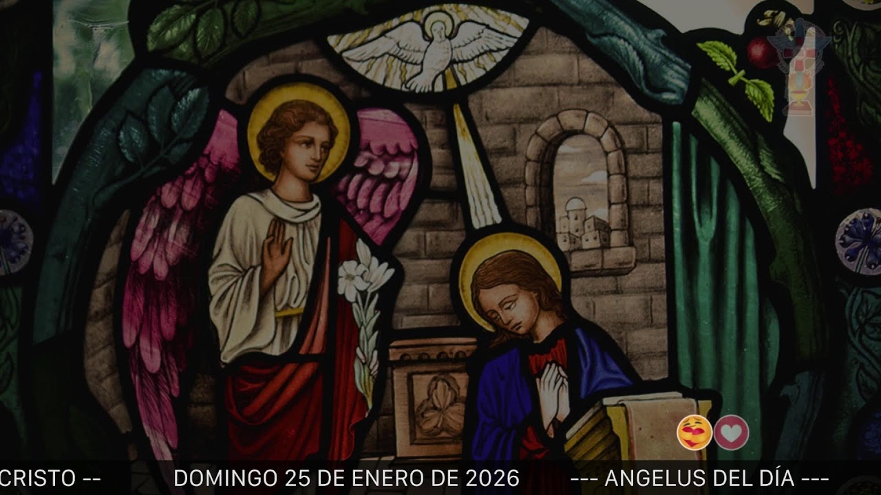 ANGELUS DEL DÍA. DOMINGO 25 DE ENERO DE 2026