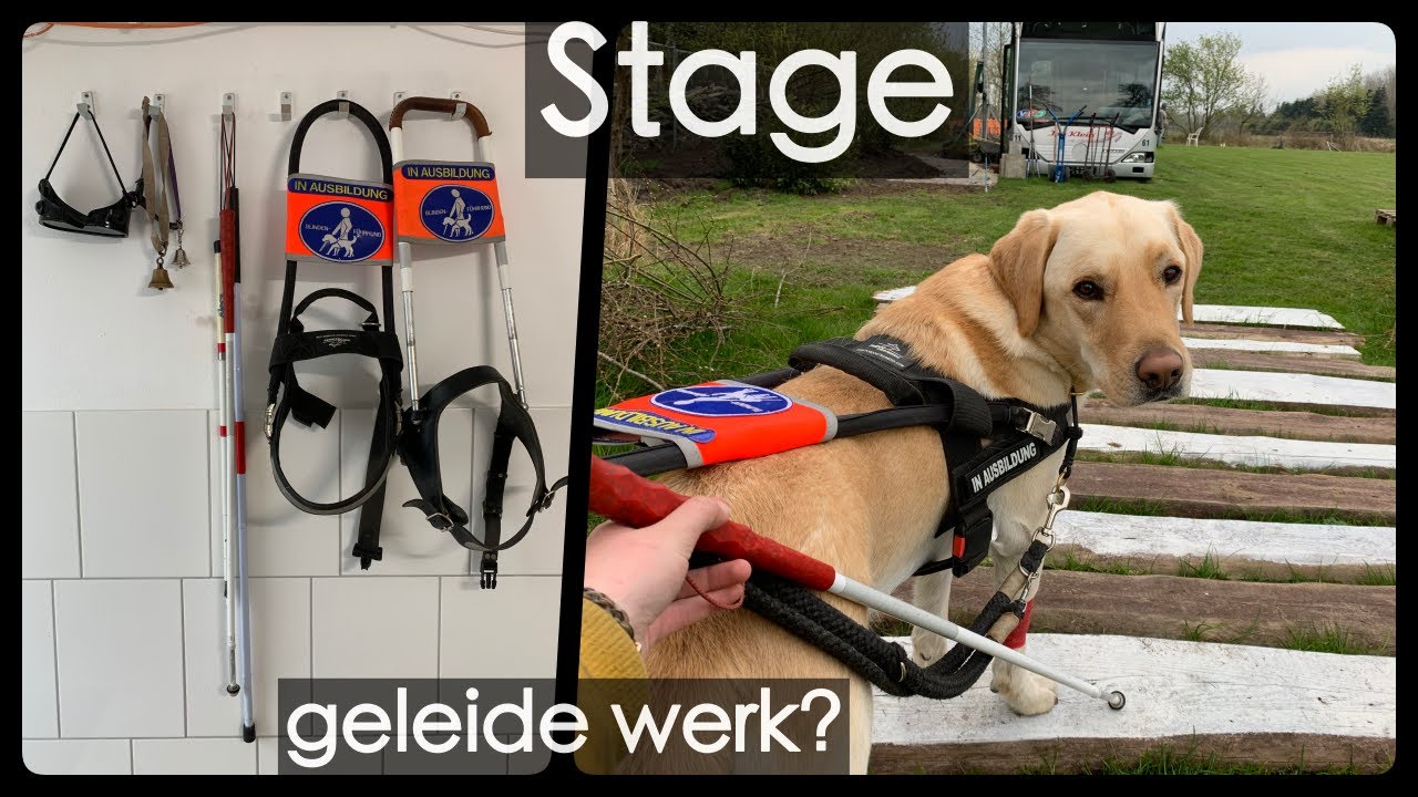 STAGE bij Vom Falorie! Geleidewerk (vlog 24)