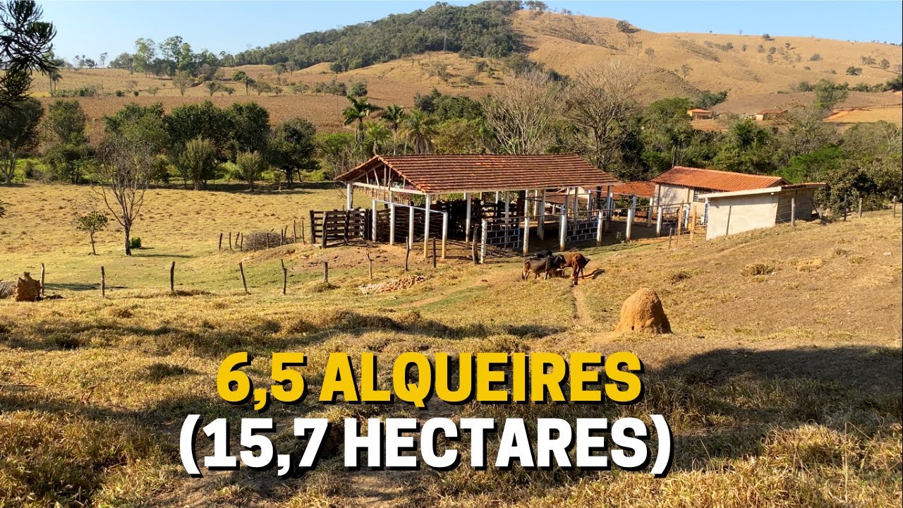 SÍTIO DE 6,5 ALQUEIRES À VENDA EM PRATÁPOLIS - MG VALOR: 100 MIL O ALQUEIRE