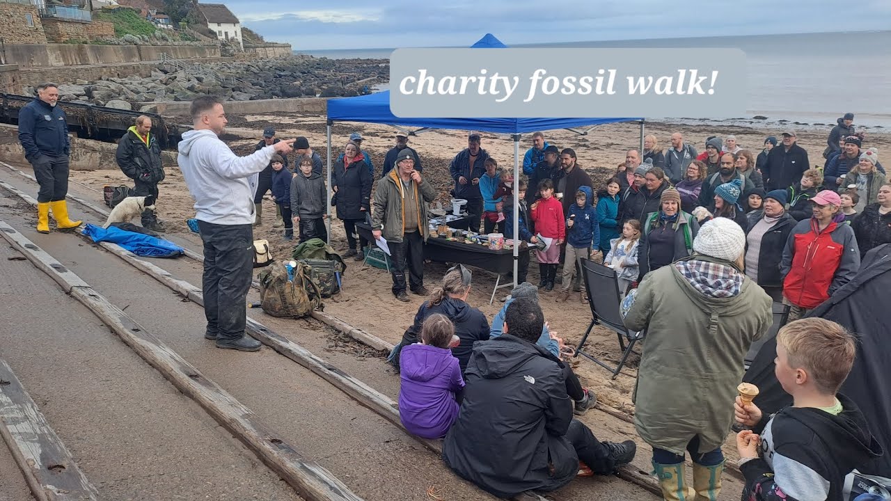 Holderness Fossils - charity fossil walk!