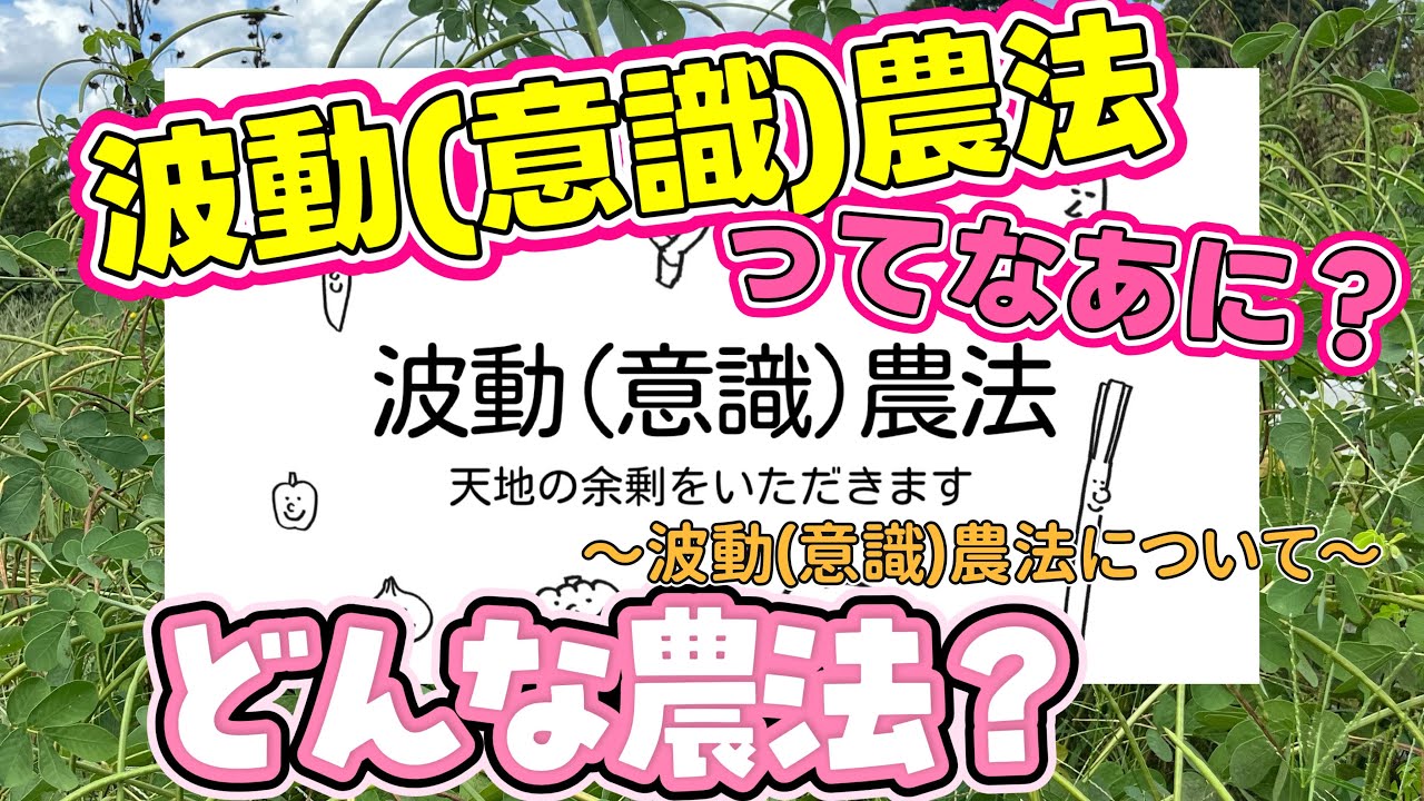 波動(意識)農法ー天地の余剰をいただきますーについて