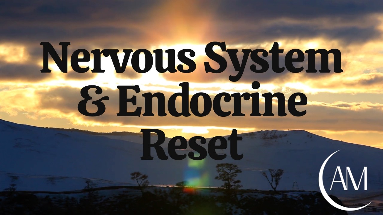 The Communication Network - Nervous System & Endocrine Reset | Guided Meditation for Inner Balance