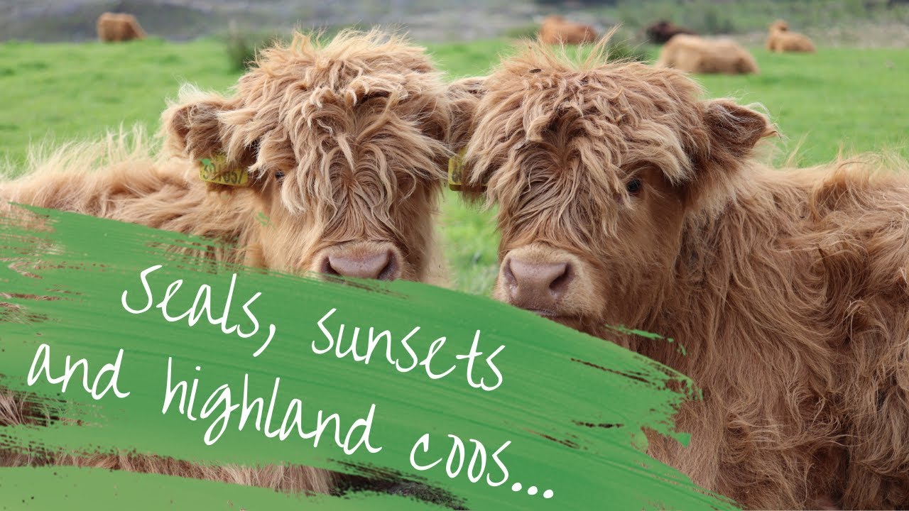 Exploring Argyll and Bute | Solo Female Van Life